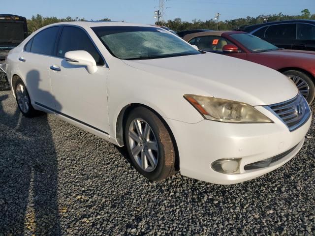 2010 Lexus ES 350