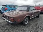 1979 Fiat 124 Spider