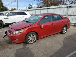 Salvage cars for sale at Moraine, OH auction: 2009 Toyota Corolla Base