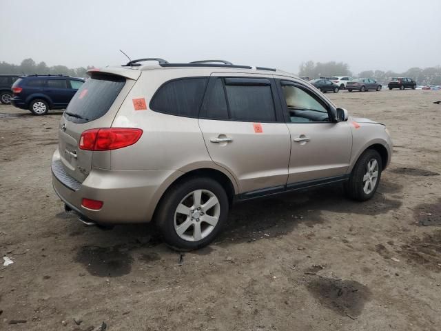 2007 Hyundai Santa FE SE