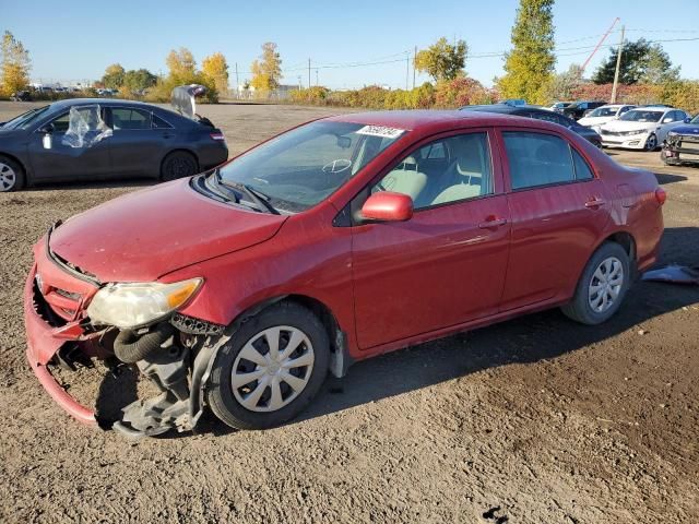 2011 Toyota Corolla Base