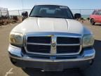 2005 Dodge Dakota Quad SLT