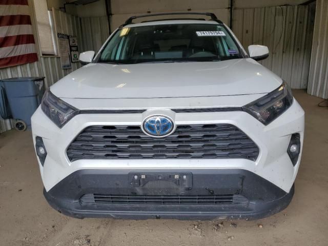 2023 Toyota Rav4 XLE Premium