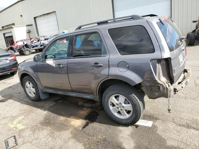 2011 Ford Escape XLT