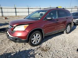 Honda cr-v ex Vehiculos salvage en venta: 2007 Honda CR-V EX