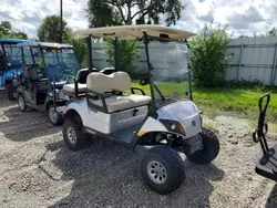 2019 Yamaha Golf Cart en venta en Arcadia, FL