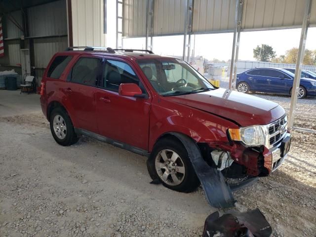 2009 Ford Escape Limited