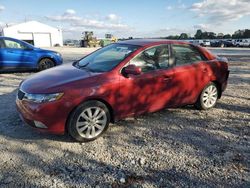 Salvage cars for sale at Cicero, IN auction: 2012 KIA Forte SX