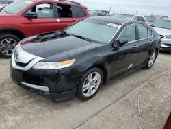 Salvage cars for sale from Copart Arcadia, FL: 2009 Acura TL