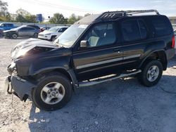 Salvage cars for sale at Walton, KY auction: 2002 Nissan Xterra XE