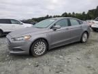 2013 Ford Fusion Titanium Phev