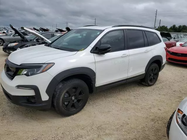 2022 Honda Pilot Trailsport