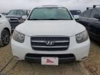 2007 Hyundai Santa FE SE