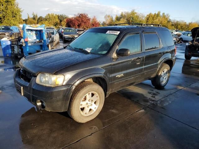 2007 Ford Escape Limited