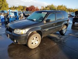 Ford Vehiculos salvage en venta: 2007 Ford Escape Limited