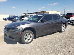 Dodge Charger Vehiculos salvage en venta: 2019 Dodge Charger SXT