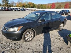 Honda salvage cars for sale: 2010 Honda Accord EXL