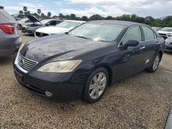 Flood-damaged cars for sale at auction: 2009 Lexus ES 350