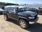 2010 Toyota FJ Cruiser