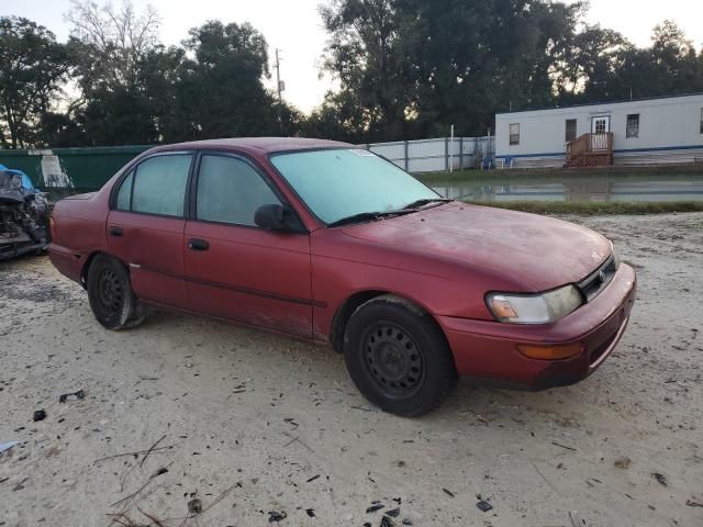 1995 Toyota Corolla LE