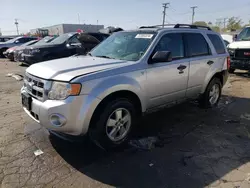 Salvage cars for sale at Chicago Heights, IL auction: 2010 Ford Escape XLT