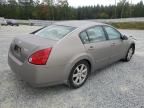 2004 Nissan Maxima SE