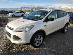 Salvage cars for sale at Magna, UT auction: 2013 Ford Escape SE