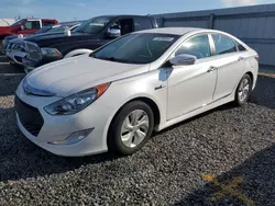 Salvage cars for sale at Riverview, FL auction: 2014 Hyundai Sonata Hybrid