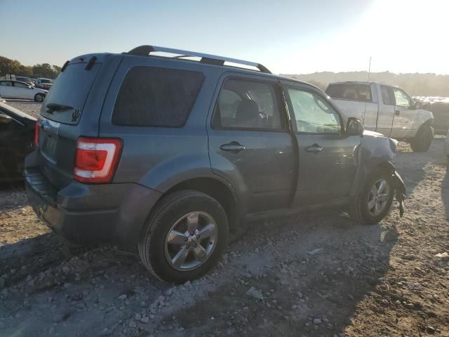 2011 Ford Escape Limited