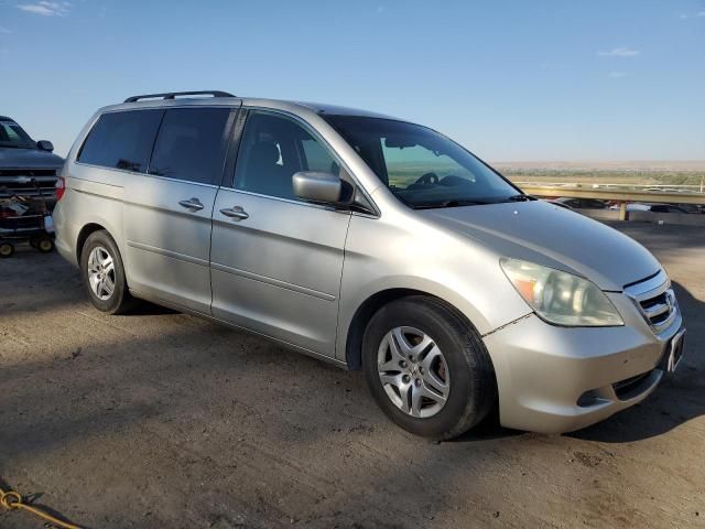 2005 Honda Odyssey EX