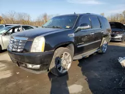 Salvage cars for sale at Marlboro, NY auction: 2007 Cadillac Escalade Luxury