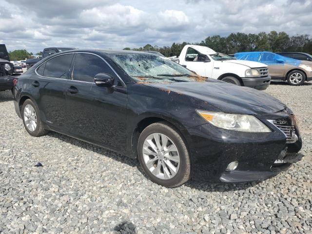 2013 Lexus ES 300H