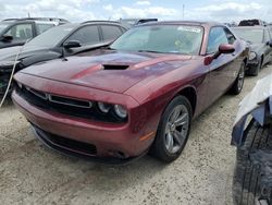 Salvage cars for sale at auction: 2019 Dodge Challenger SXT