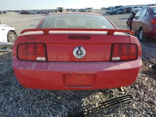 2005 Ford Mustang