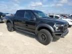 2017 Ford F150 Raptor