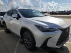 2024 Lexus NX 250 Premium