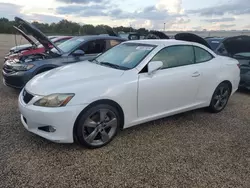 Lexus salvage cars for sale: 2010 Lexus IS 250