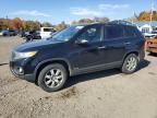 2011 KIA Sorento Base