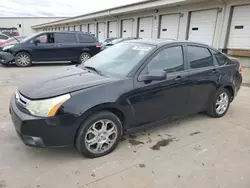 Ford salvage cars for sale: 2009 Ford Focus SES