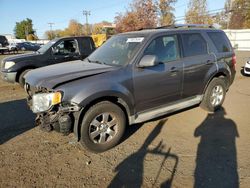 Ford Escape Limited salvage cars for sale: 2012 Ford Escape Limited