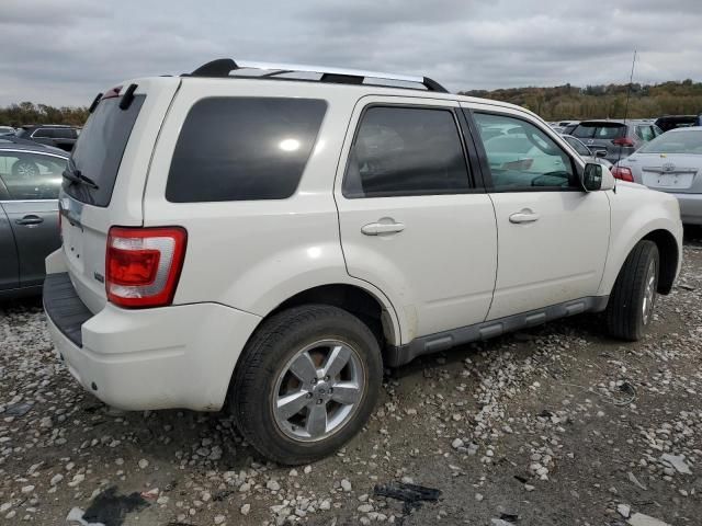 2010 Ford Escape Limited