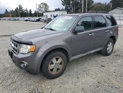 Vehiculos salvage en venta de Copart Graham, WA: 2009 Ford Escape XLT