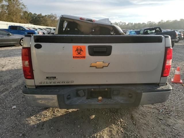 2010 Chevrolet Silverado C1500