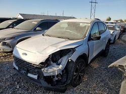 Salvage cars for sale at Farr West, UT auction: 2021 Ford Escape SE