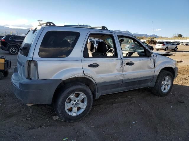 2006 Ford Escape XLT