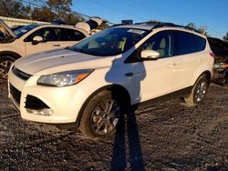 Ford Escape salvage cars for sale: 2013 Ford Escape SEL