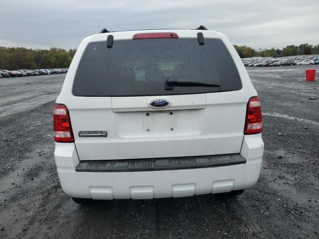 2008 Ford Escape XLT