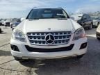 2010 Mercedes-Benz ML 350