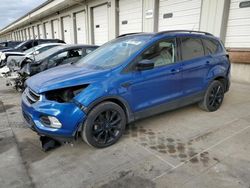 Salvage cars for sale at Louisville, KY auction: 2019 Ford Escape SE