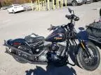 2009 Harley-Davidson Flstsb